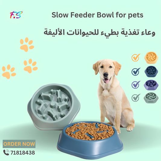 Slow Feeder Bowl for pets