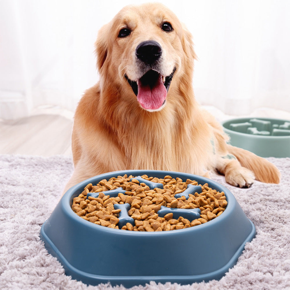 Slow Feeder Bowl for pets