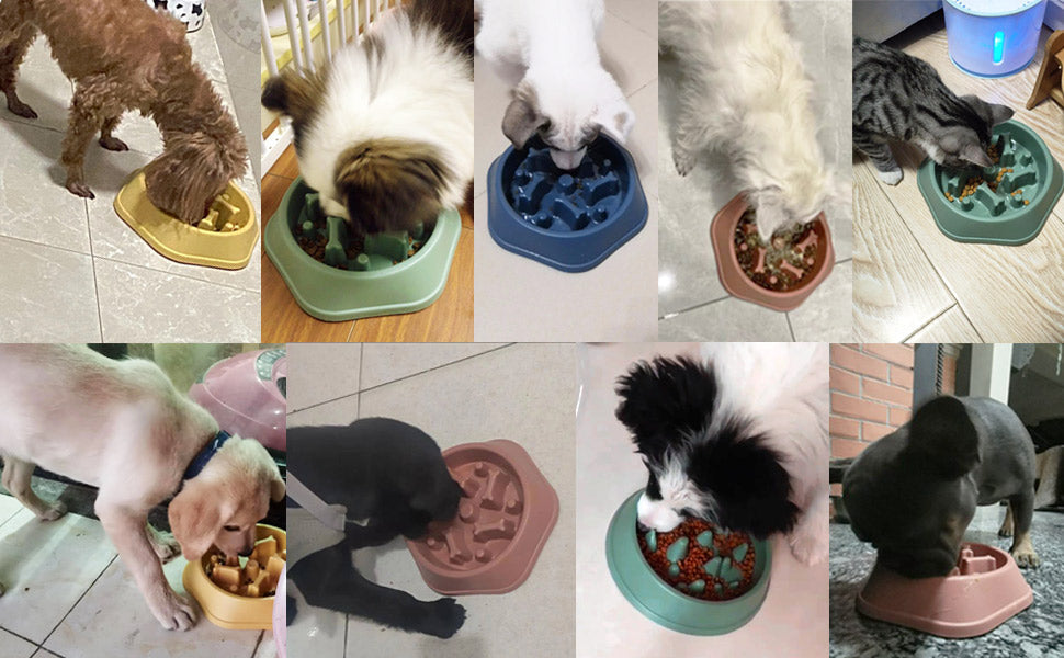 Slow Feeder Bowl for pets