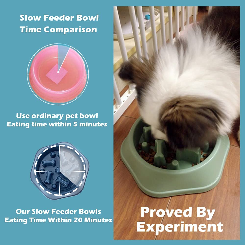 Slow Feeder Bowl for pets